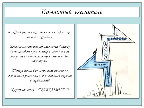 Проекты: Гран-при конкурса. Арт-объект на Селигере 2014.